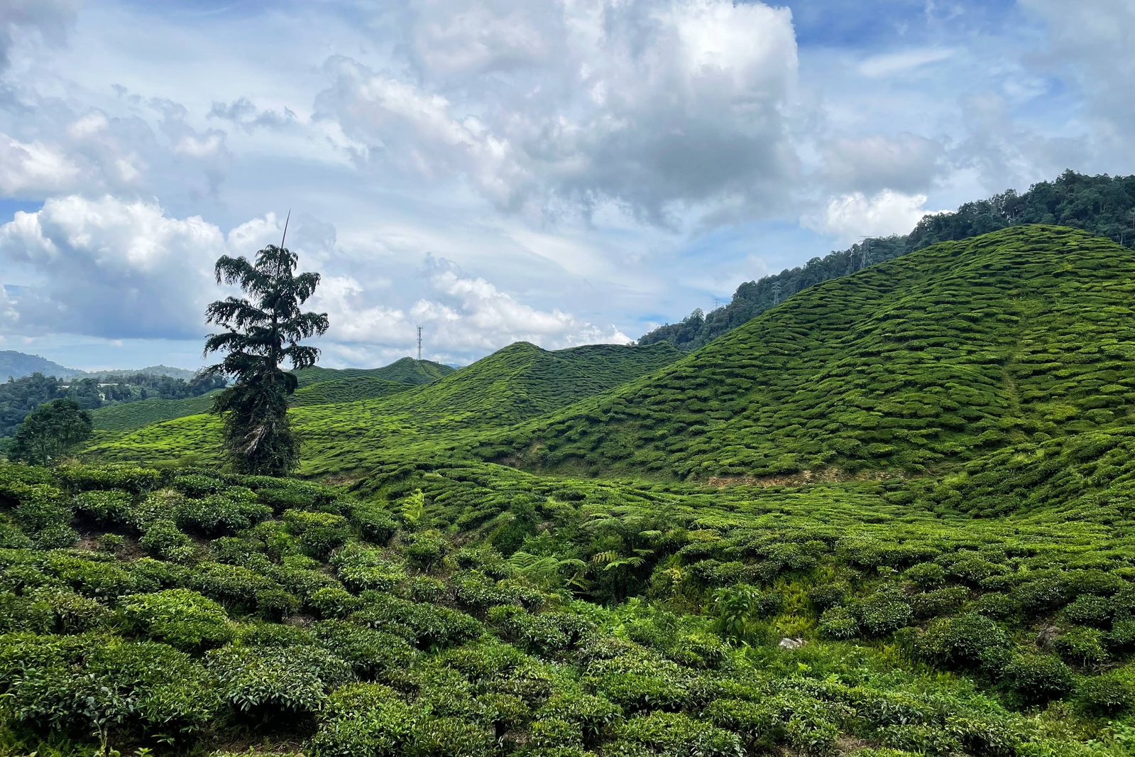 Contested rights 3/3