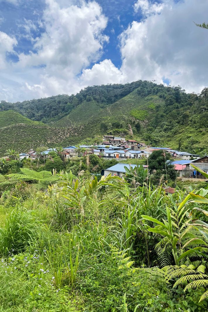 Contested rights 1/3