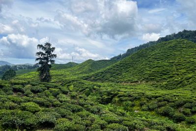 Contested rights 3/3