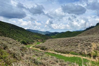 Contested rights 2/3